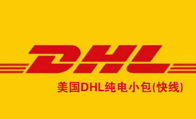 美國(guó)DHL純電小包(快線)